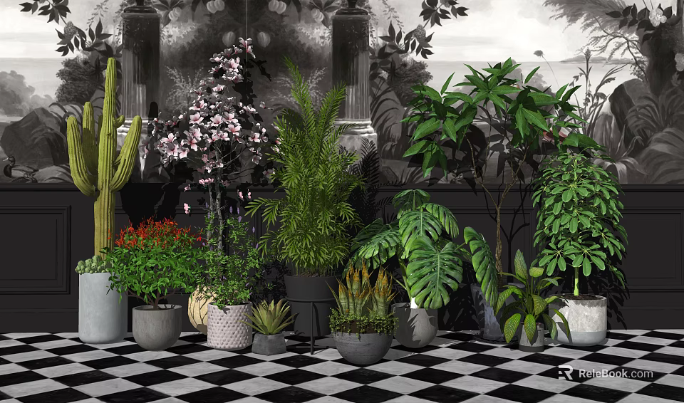 Variety of Indoor Potted Plants with Cactus Ferns Monstera and Flowering Shrubs in Stylish Planters 3d model 