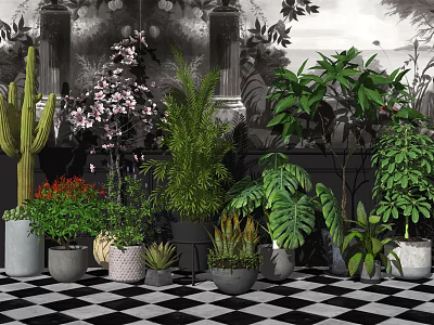 Variety of Indoor Potted Plants with Cactus Ferns Monstera and Flowering Shrubs in Stylish Planters 3d model