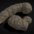 Earthworms With Segmented Bodies In Natural Curved Form On Dark Surface 3d model
