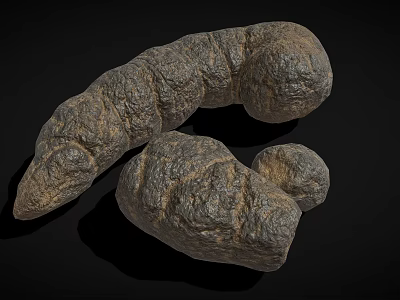 Earthworms With Segmented Bodies In Natural Curved Form On Dark Surface 3d model