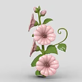 Blooming Pink Flowers Plant with Green Stems Leaves and Curly Vines