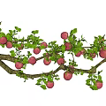 Arbor Apple Tree Red Fuji Apple Branch Garden Fruit Tree Landscape Tree 3d model