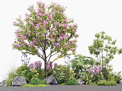 Garden Plant Combination With Flowering Tree Pink Blossoms Green Shrubs Herbs And Stones 3d model