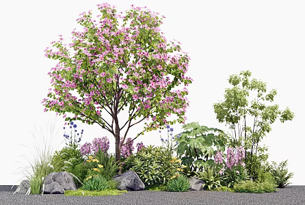 Modern Shrub Bauhinia Flower Crape myrtle Tree Plant Combination Flower Border Flowers and Plants Plant Pile Plant Group Empty Brick Wall 3d model