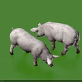 Two White Pigs Standing Together On Green Background Looking Down Peacefully 3d model