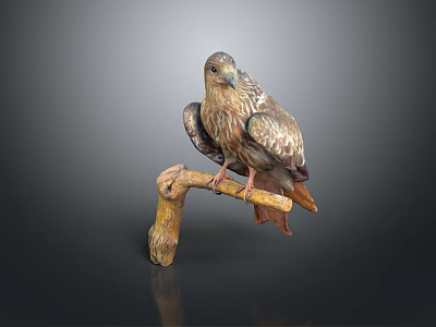 Eagle Perched On Natural Wooden Branch With Brown Feathers And Sharp Claws 3d model