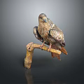 Eagle Perched On Natural Wooden Branch With Brown Feathers And Sharp Claws 3d model