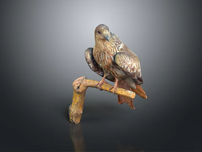 bird game animal cartoon animal realistic animal 3d model