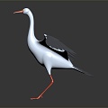 Modern Crane Ibis 3d model