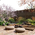 Serene Courtyard Garden Featuring Wooden Deck Round Cushions Cherry Blossom Tree And Fallen Leaves