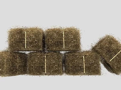 Dry Hay Bales Stacked And Bound For Farm Storage And Animal Feed 3d model