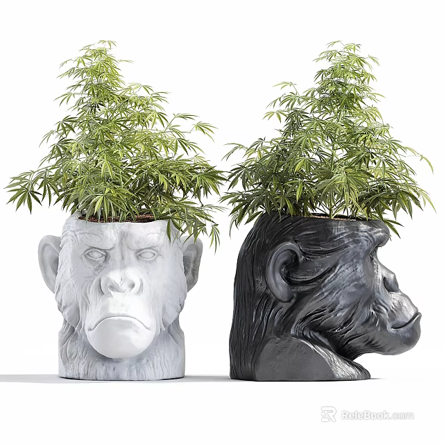 Bonsai Potted Plants in White and Black Monkey Head Shaped Planters with Green Leaves 3d model 