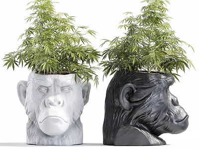 Bonsai Potted Plants in White and Black Monkey Head Shaped Planters with Green Leaves 3d model
