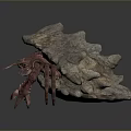 Turtle Cartoon Turtle Snapping Turtle Chickbill Turtle Reptile Cold Blooded Animal Reptile Class 3d model