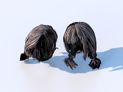 Hair Wig Hair Set 3d model