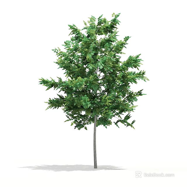 Vibrant Green Arbor Featuring Dense Leafy Canopy and Strong Trunk 3d model