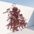 Lush Vine Plant With Red And Yellow Leaves Climbing Up White Wall