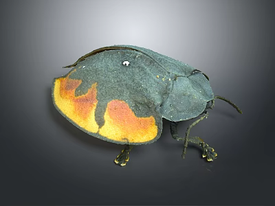 Dark Green Beetle With Orange Yellow Spots Oval Shaped Body Legs And Antennae 3d model