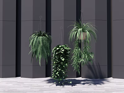 Hanging Basket Plants Indoor Decor with Greenery Against Gray Wall on Wooden Floor 3d model