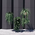 Hanging Basket Plants Indoor Decor with Greenery Against Gray Wall on Wooden Floor
