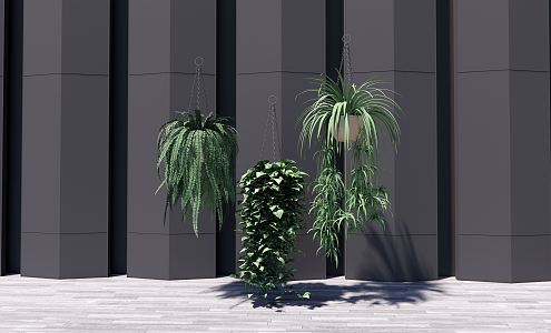 Modern hanging basket potted plant 3d model