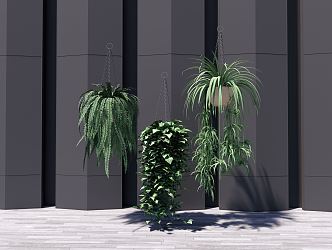 Modern hanging basket potted plant 3d model