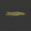 Circular Natural Landscape With Green Moss and Hollow Depression Surrounded By Small Stones