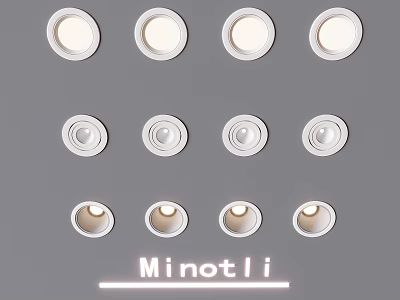 Modern Minotli Downlights And Spotlights Design With Various Styles For Home Interior 3d model