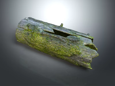 Natural Weathered Wooden Log with Green Moss Covered Surface and Natural Holes 3d model