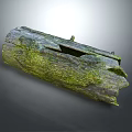 Natural Weathered Wooden Log with Green Moss Covered Surface and Natural Holes