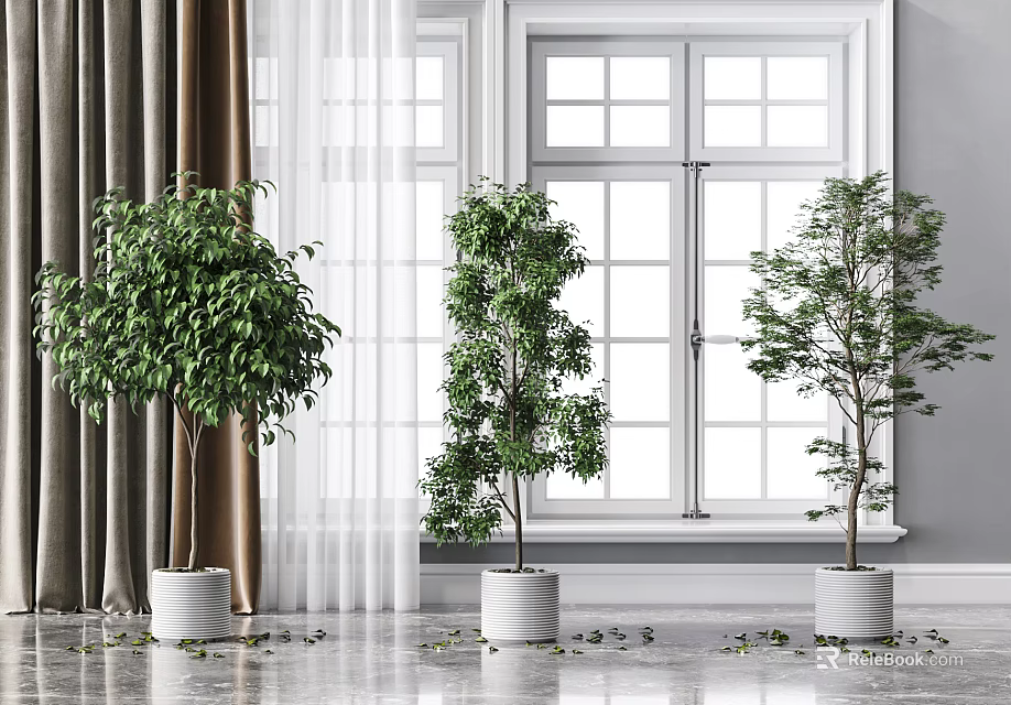 Indoor Three Potted Plants In White Pots By Window With Curtains And Marble Floor 3d model 
