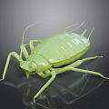 Realistic Green Cricket 3D Model With Glossy Surface Long Antennae And Reflective Dark Background