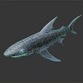 Striped Tiger Shark With Sharp Teeth And Gray Blue Skin In Dark Background