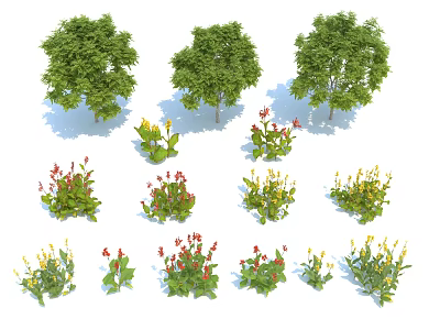 Various Tree Varieties in Landscape Design with Green Foliage and Colorful Flowering Shrubs 3d model