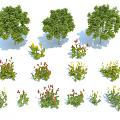 Various Tree Varieties in Landscape Design with Green Foliage and Colorful Flowering Shrubs