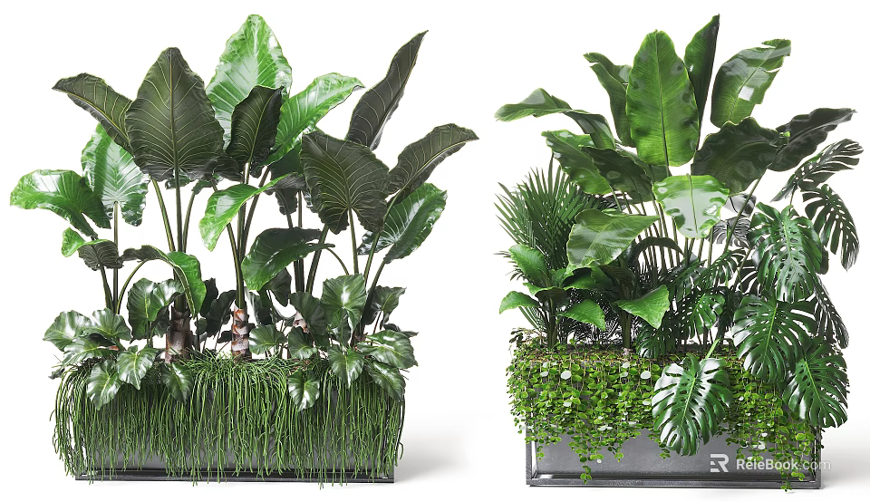 Indoor Decorative Potted Plants With Large Green Leaves And Mixed Foliage In Square Containers 3d model 