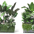 Indoor Decorative Potted Plants With Large Green Leaves And Mixed Foliage In Square Containers