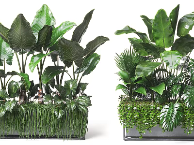 Indoor Decorative Potted Plants With Large Green Leaves And Mixed Foliage In Square Containers 3d model