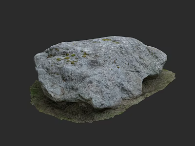 Natural Stone and Wood Decorative Piece with Mossy Surface and Earthy Design 3d model