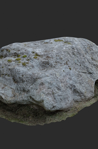 Landscape Stone Food Stone Moss 3D Scanning Reconstruction 3d model