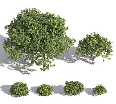 Lush Green Shrubs In Various Sizes And Shapes For Garden Landscaping 3d model