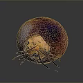 Unique Colorful Spherical Food With Purple Red Hue Hollow Center And Stretchy Strips