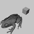Green Frog With Extended Legs and Colorful Rubik's Cube in Gray Setting