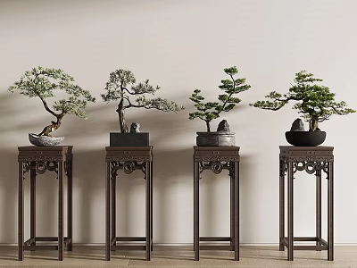 Potted Bonsai Trees Displayed On Carved Dark Wooden Stands Against Light Wall 3d model