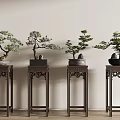 Potted Bonsai Trees Displayed On Carved Dark Wooden Stands Against Light Wall
