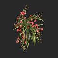 Beautiful Red Orchids with Green Leaves Blooms and Buds in Hanging Arrangement
