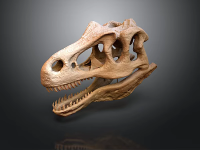 Ancient Dinosaur Fossil Skull With Detailed Bone Structure On Dark Background 3d model