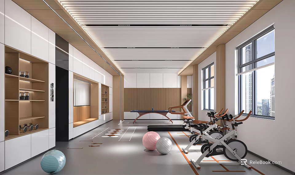 Modern Gym Interior With Spin Bikes Exercise Balls And Treadmill 3d model 