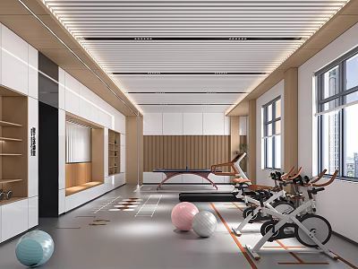 Modern Gym Interior With Spin Bikes Exercise Balls And Treadmill 3d model