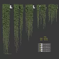 Green Hanging Vines With Lush Leaves Draping From Shelves And Planters For Natural Decorative